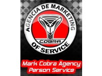 logo Mark Cobra Agency Personal Service
