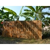 Galeria de imagenes de Aserradero Maderas Coconá