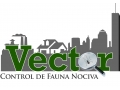VECTOR