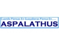 ASPALATHUS