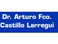 CASTILLO LARREGUI ARTURO FCO DR