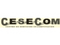 CONSULTORES Y ESPECIALISTAS EN SERVICIOS DE COMPUTACION