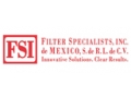FSI DE MEXICO
