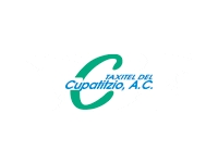 logo TAXITEL DEL CUPATITZIO AC