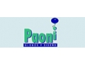 PAONI GLOBOS Y DISENO