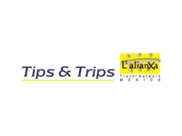 logo TIPS AND TRIPS