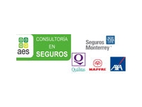 logo CONSULTORIA EN SEGUROS